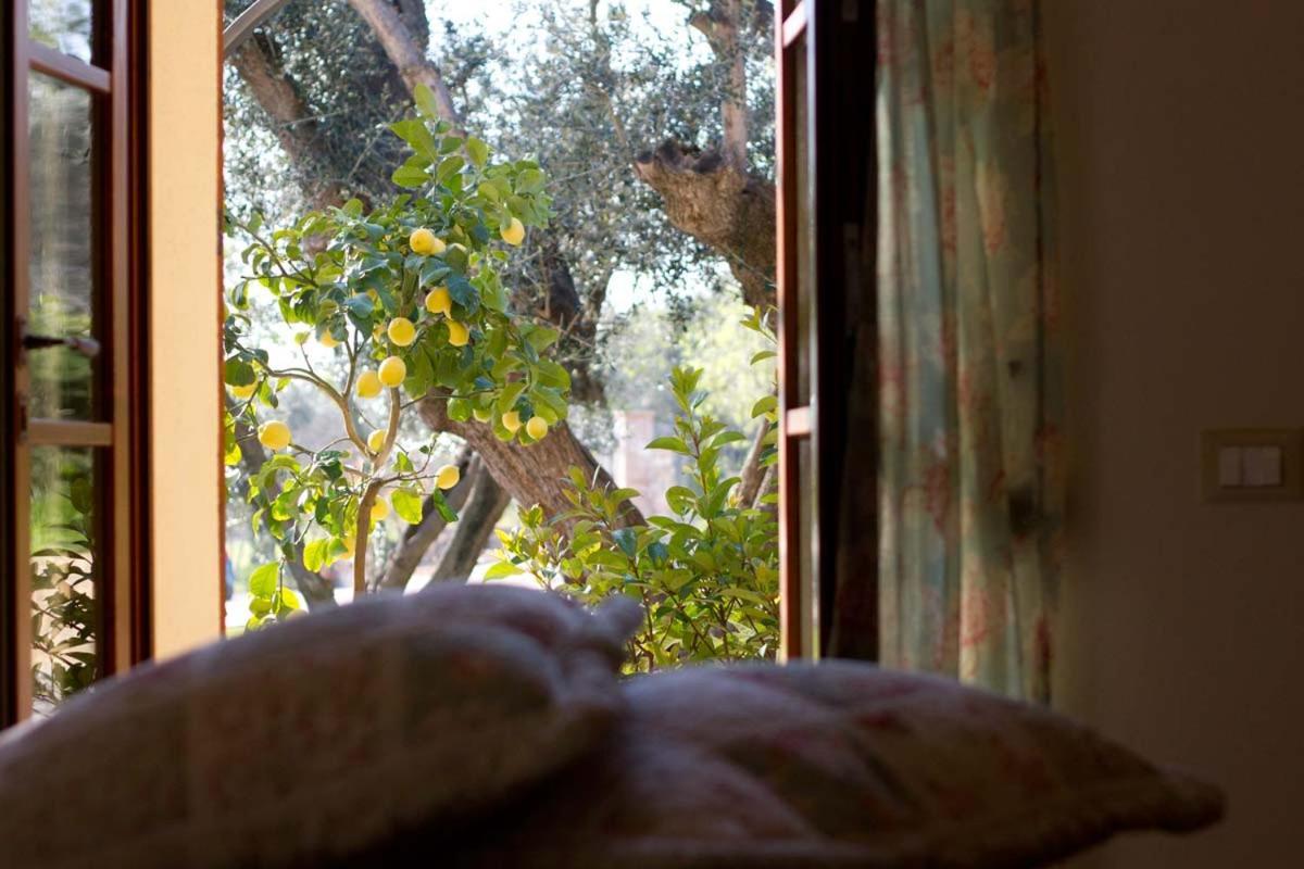 Il Bottaccio Casa Di Campagna Venturina Terme Exterior foto
