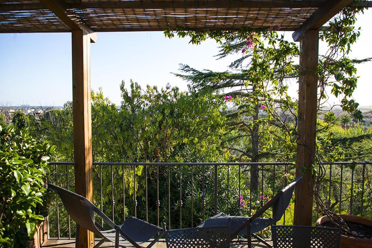 Il Bottaccio Casa Di Campagna Venturina Terme Exterior foto