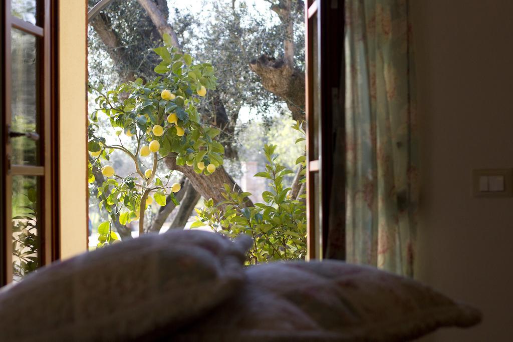 Il Bottaccio Casa Di Campagna Venturina Terme Zimmer foto