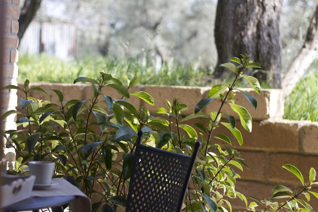 Il Bottaccio Casa Di Campagna Venturina Terme Zimmer foto